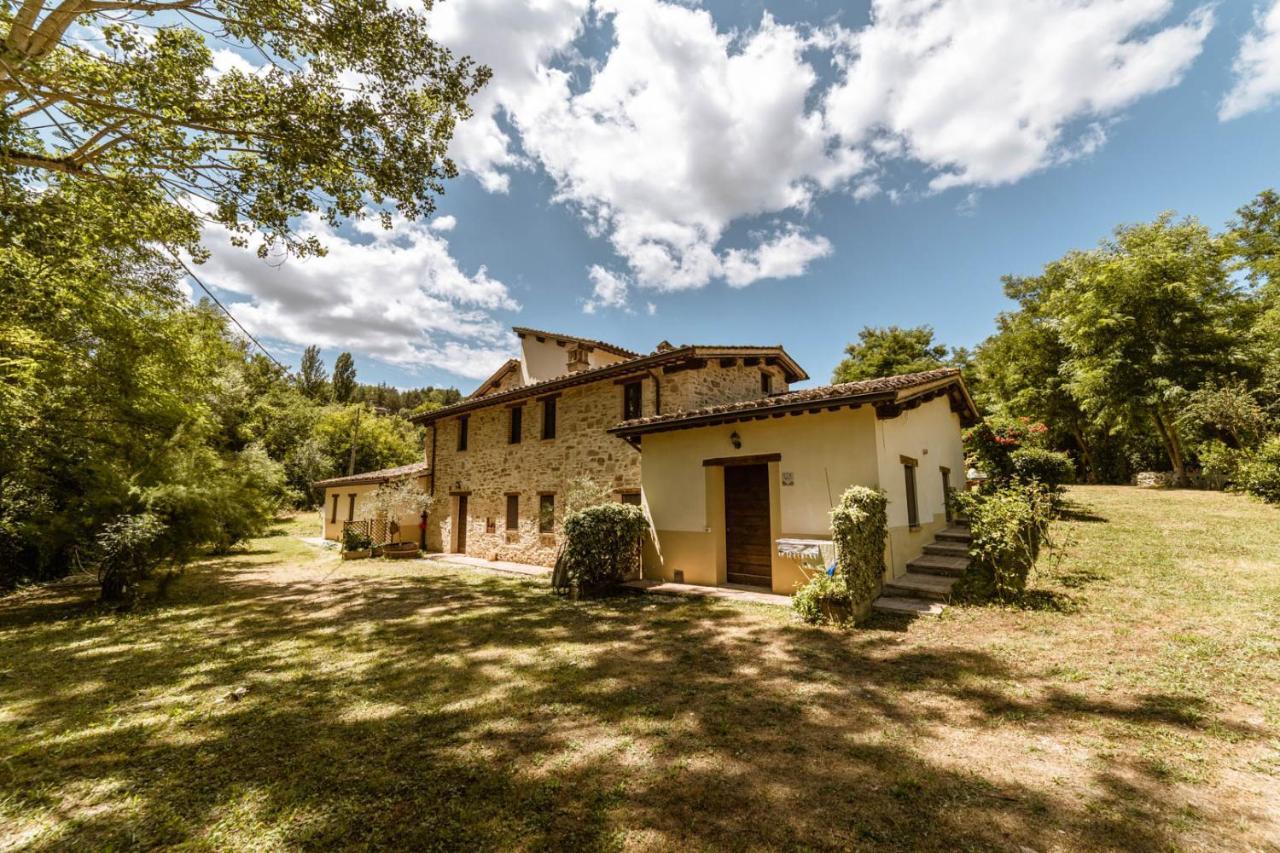 Agriturismo Le Radici Umbertide Exteriör bild