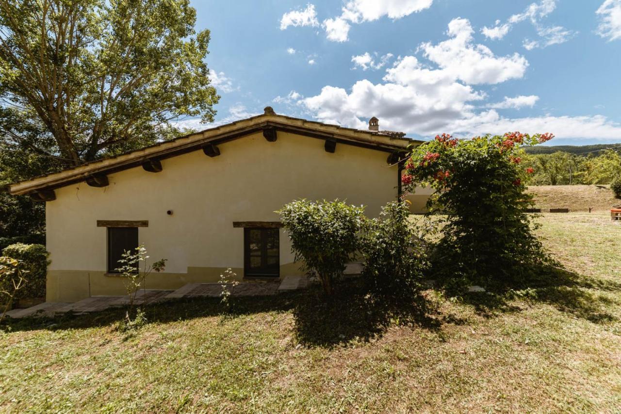 Agriturismo Le Radici Umbertide Exteriör bild