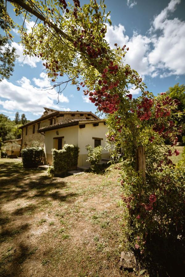 Agriturismo Le Radici Umbertide Exteriör bild